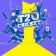 T20 cricket