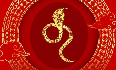 Ruby Snake Meaning