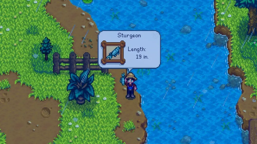 How to catch sturgeon stardew valley