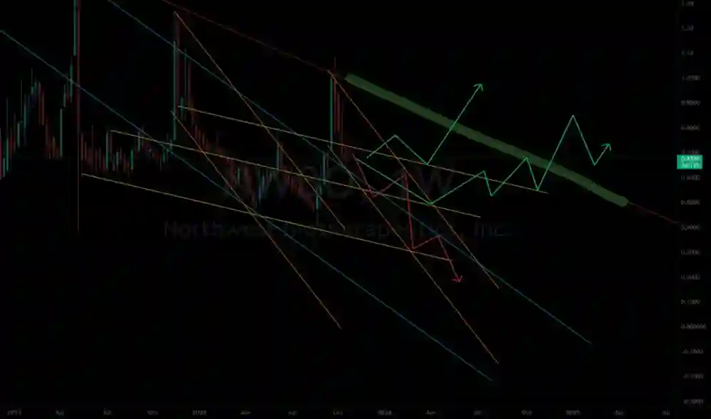 NWBO StockTwits