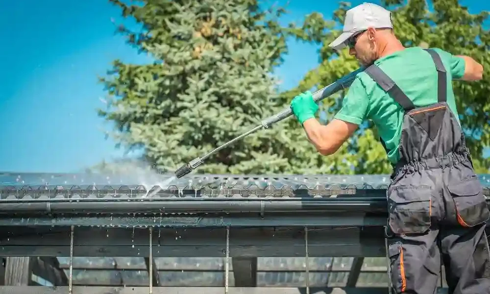 Roof Cleaning