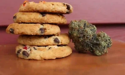 Cannabis Edibles