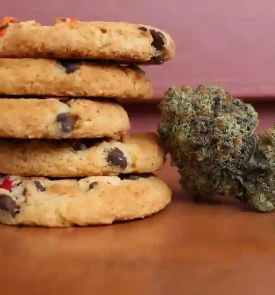 Cannabis Edibles