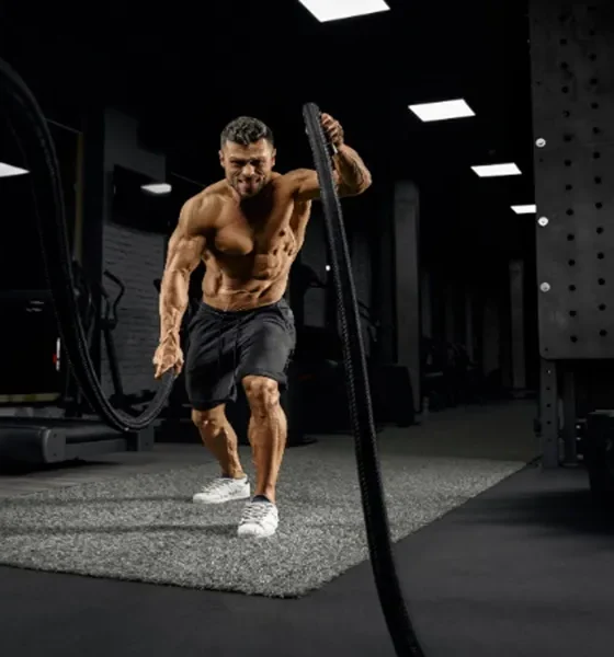 Gym Lover Bio