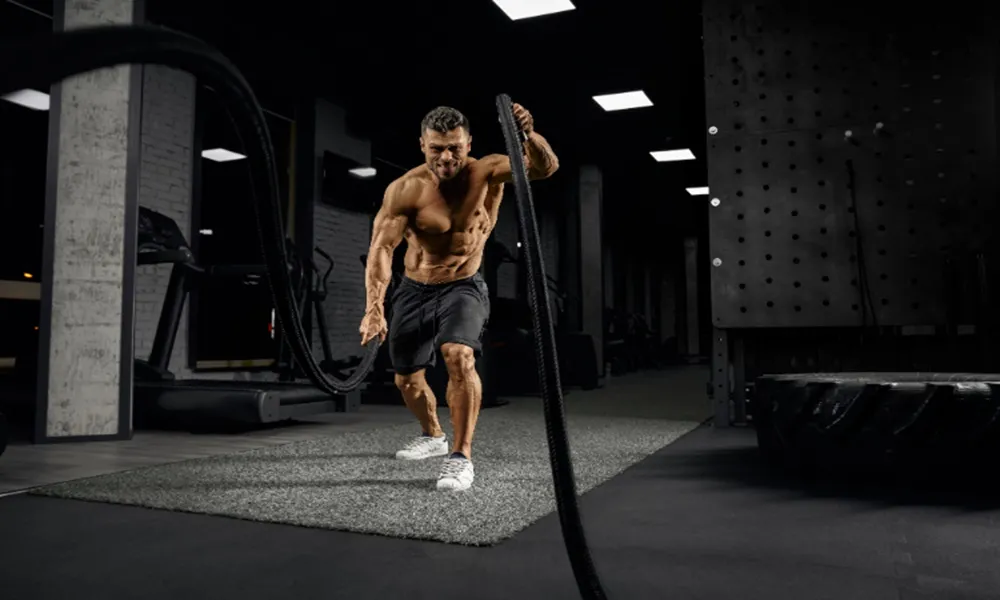 Gym Lover Bio